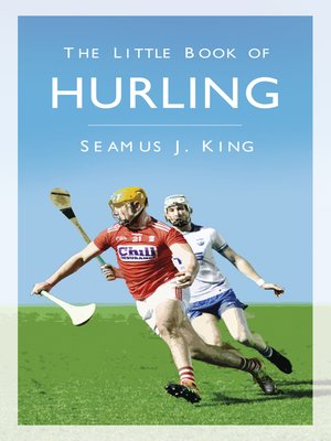 cover image of The Little Book of Hurling